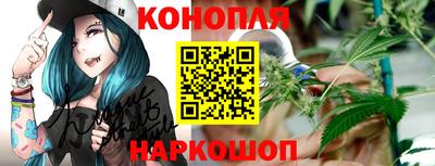 бошки Шелехов
