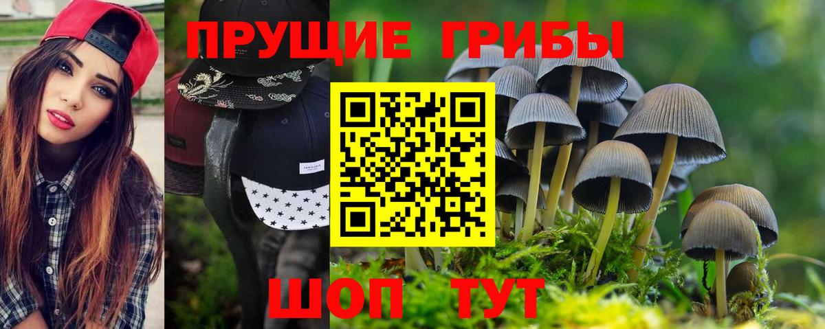 Псилоцибиновые грибы Magic Shrooms Советск