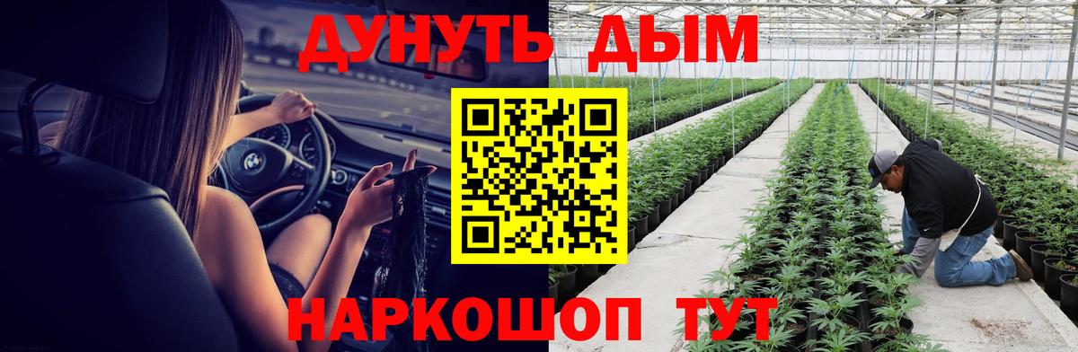 Конопля конопля Советск